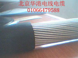 架空電纜產(chǎn)品庫(kù) 中國(guó)電氣供應(yīng)商專(zhuān)業(yè)選擇指南