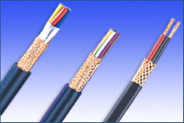 氟塑料耐高溫控制電纜 規(guī)格型號(hào)、價(jià)格及常見(jiàn)電纜選型指南