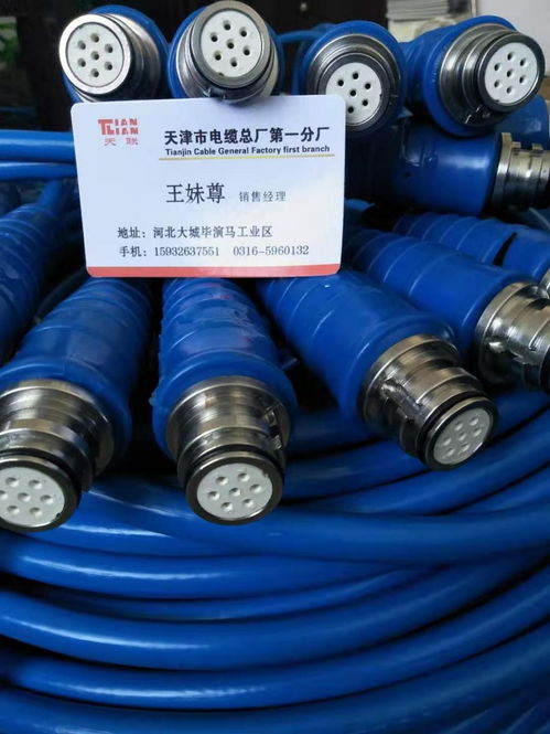 帶插頭7芯礦用通信拉力電纜 電氣電纜在礦井中的關(guān)鍵應(yīng)用與技術(shù)要求
