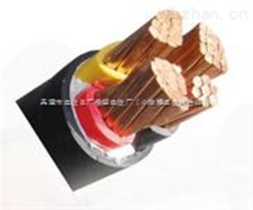 電氣設(shè)備與供電需求升級 ZR VV電纜2×10、2×16成市場關(guān)注焦點(diǎn)
